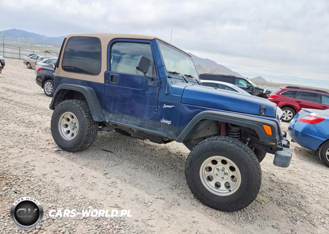 2002 Jeep Wrangler - Tj Sport VIN:1J4FA49S42P754168 - 4