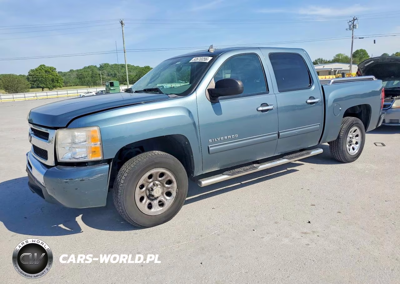 2010 Chevrolet Silverado C1500 Ls