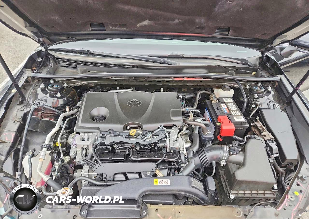 2019 Toyota Camry Se VIN:4T1B11HK3KU188876 - 11
