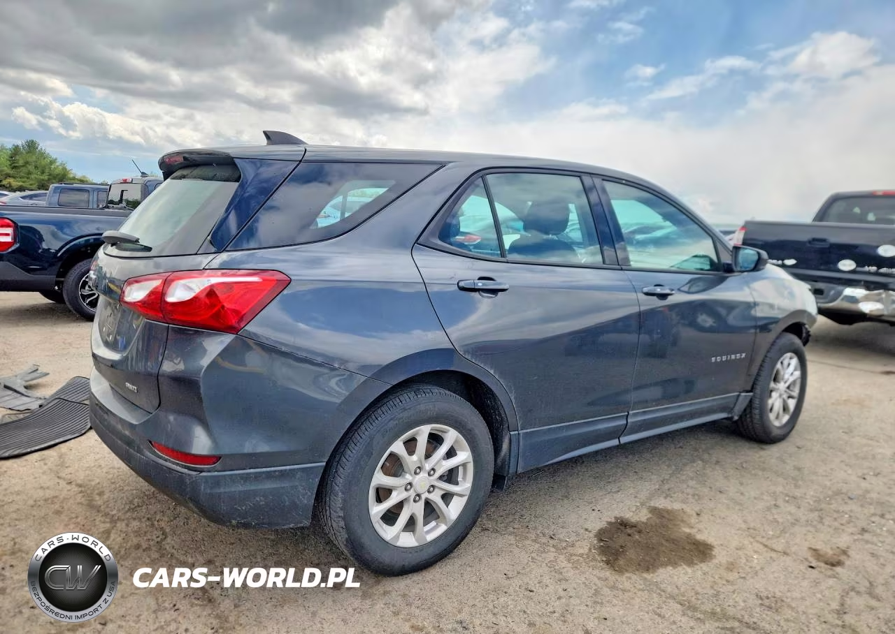 2019 Chevrolet Equinox Ls VIN:3GNAXSEV9KL103737 - 3