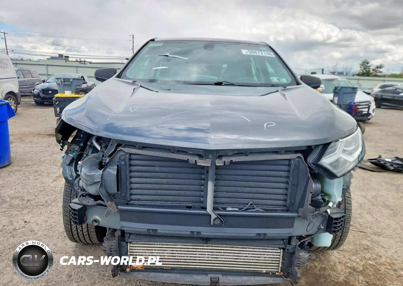 2019 Chevrolet Equinox Ls VIN:3GNAXSEV9KL103737 - 5