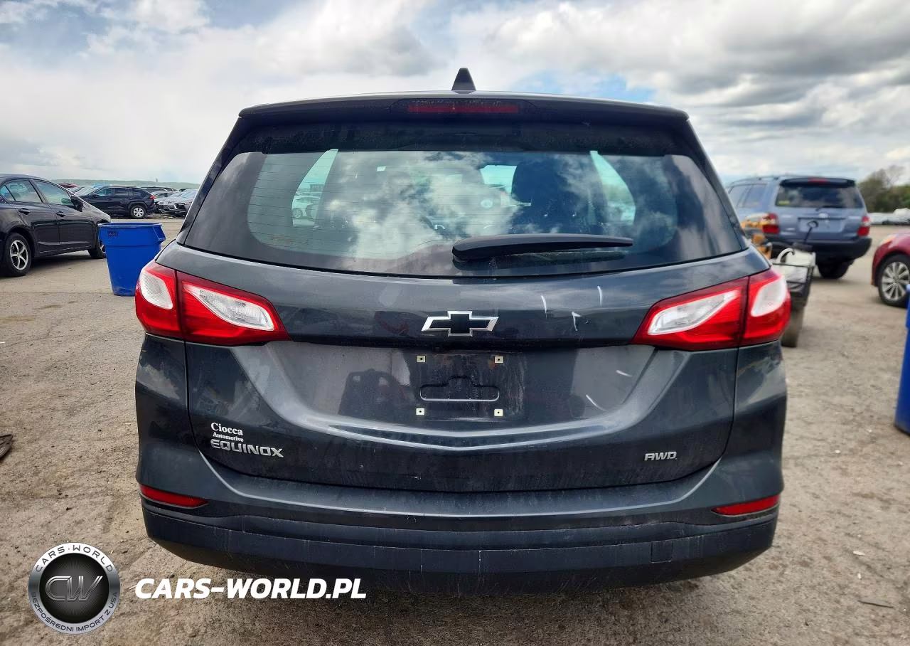 2019 Chevrolet Equinox Ls VIN:3GNAXSEV9KL103737 - 6