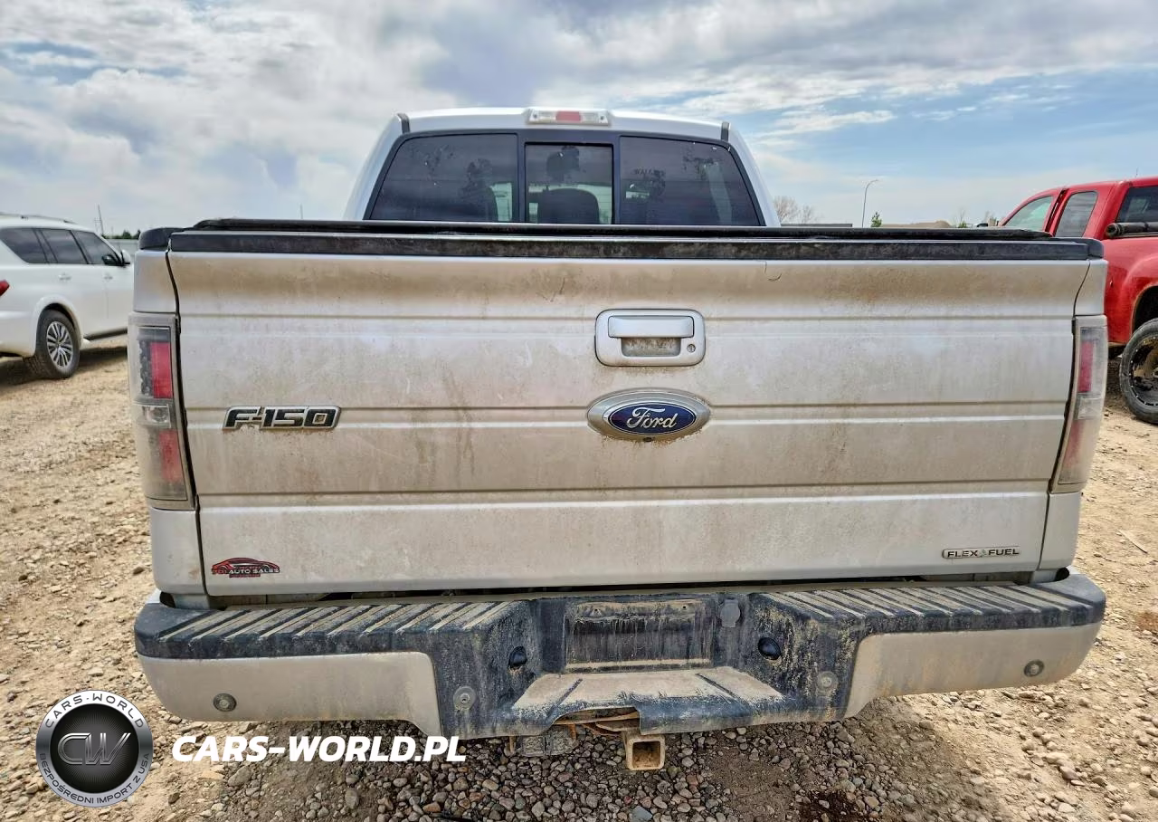 2011 Ford F150 Supercrew VIN:1FTFW1EF9BFA62198 - 6