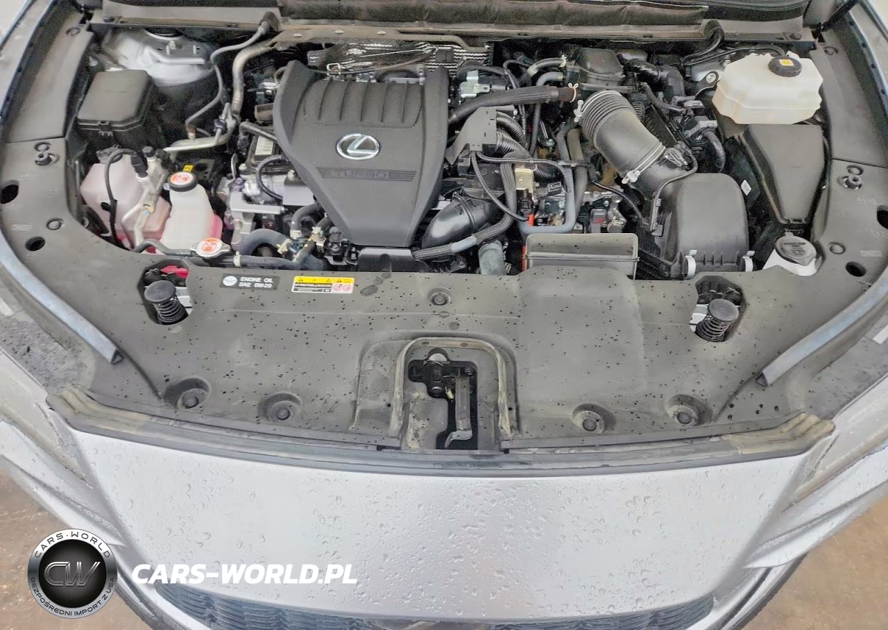 2023 Lexus Rx 500H F Sport VIN:2T2BCMEA2PC010548 - 12