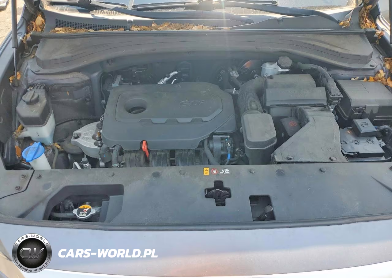 2019 Hyundai Santa Fe Se VIN:5NMS23AD5KH119428 - 12