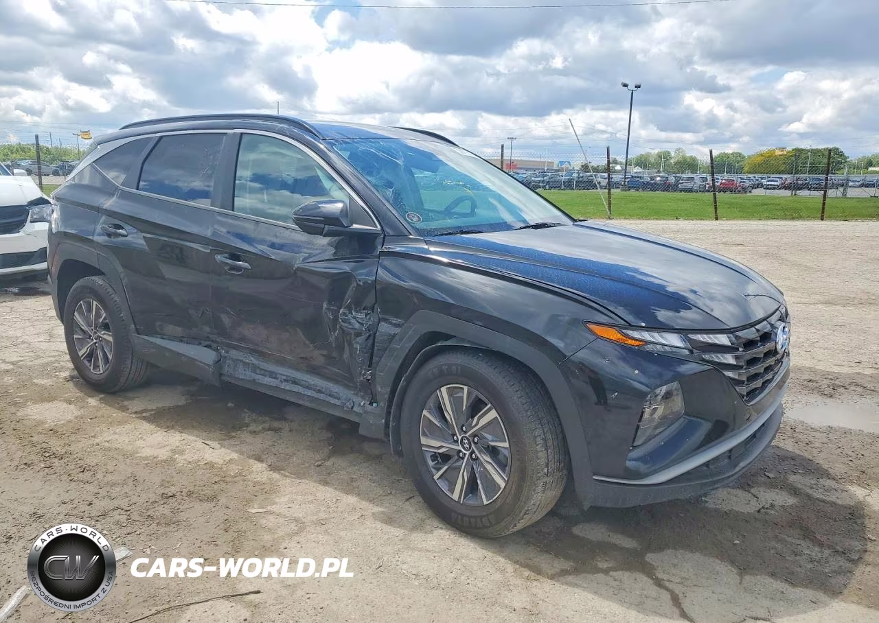 2022 Hyundai Tucson Blue VIN:KM8JBCA1XNU042498 - 4