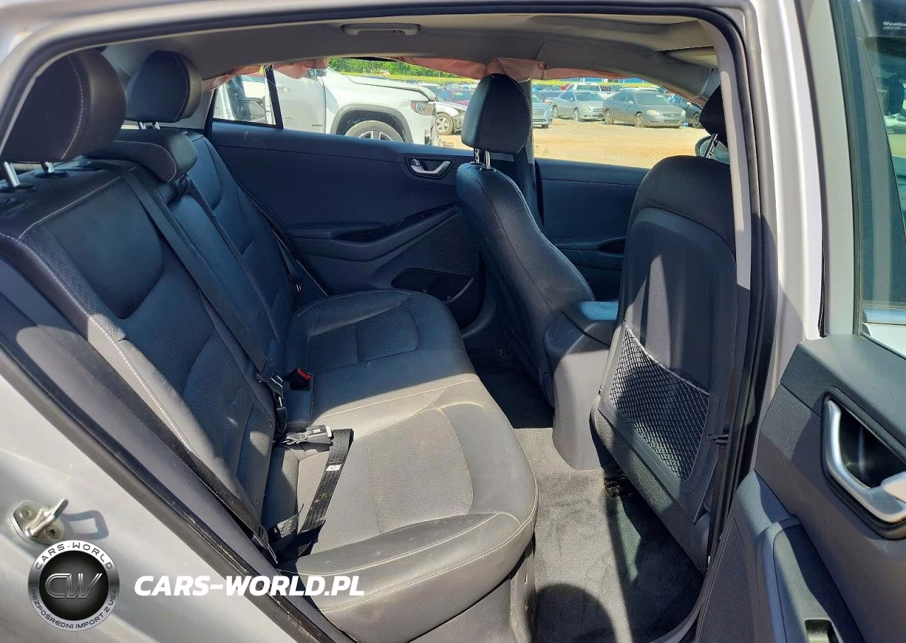 2019 Hyundai Ioniq Limited VIN:KMHC85LC5KU129559 - 10