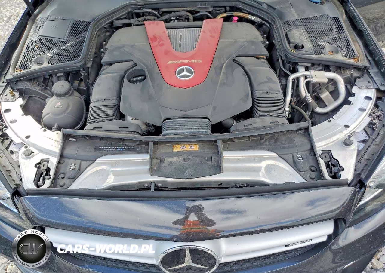 2019 Mercedes-Benz C 43 Amg VIN:WDDWJ6EB9KF803951 - 11