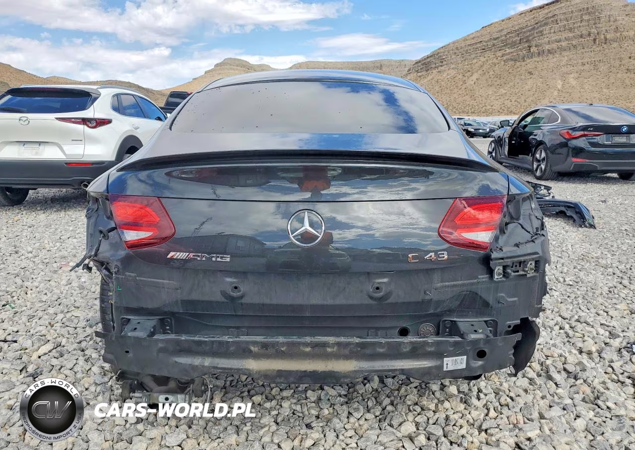2019 Mercedes-Benz C 43 Amg VIN:WDDWJ6EB9KF803951 - 6