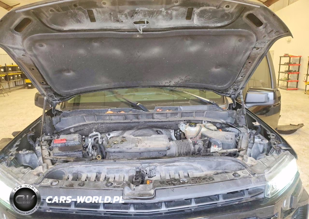 2019 Chevrolet Silverado K1500 Lt Trail Boss VIN:1GCPYFED2KZ405863 - 11