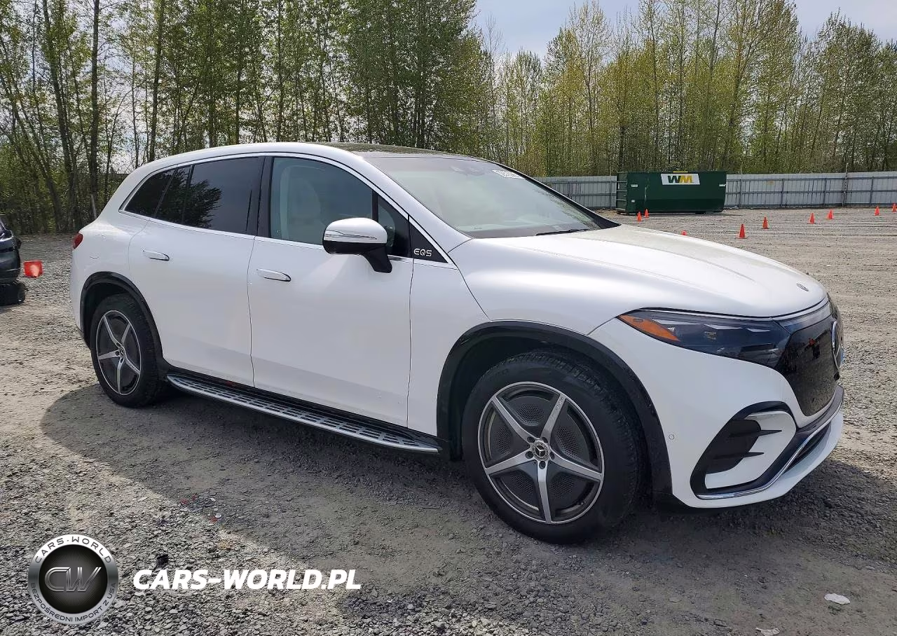 2023 Mercedes-Benz Eqs Suv 580 4Matic VIN:4JGDM4EB4PA022820 - 4