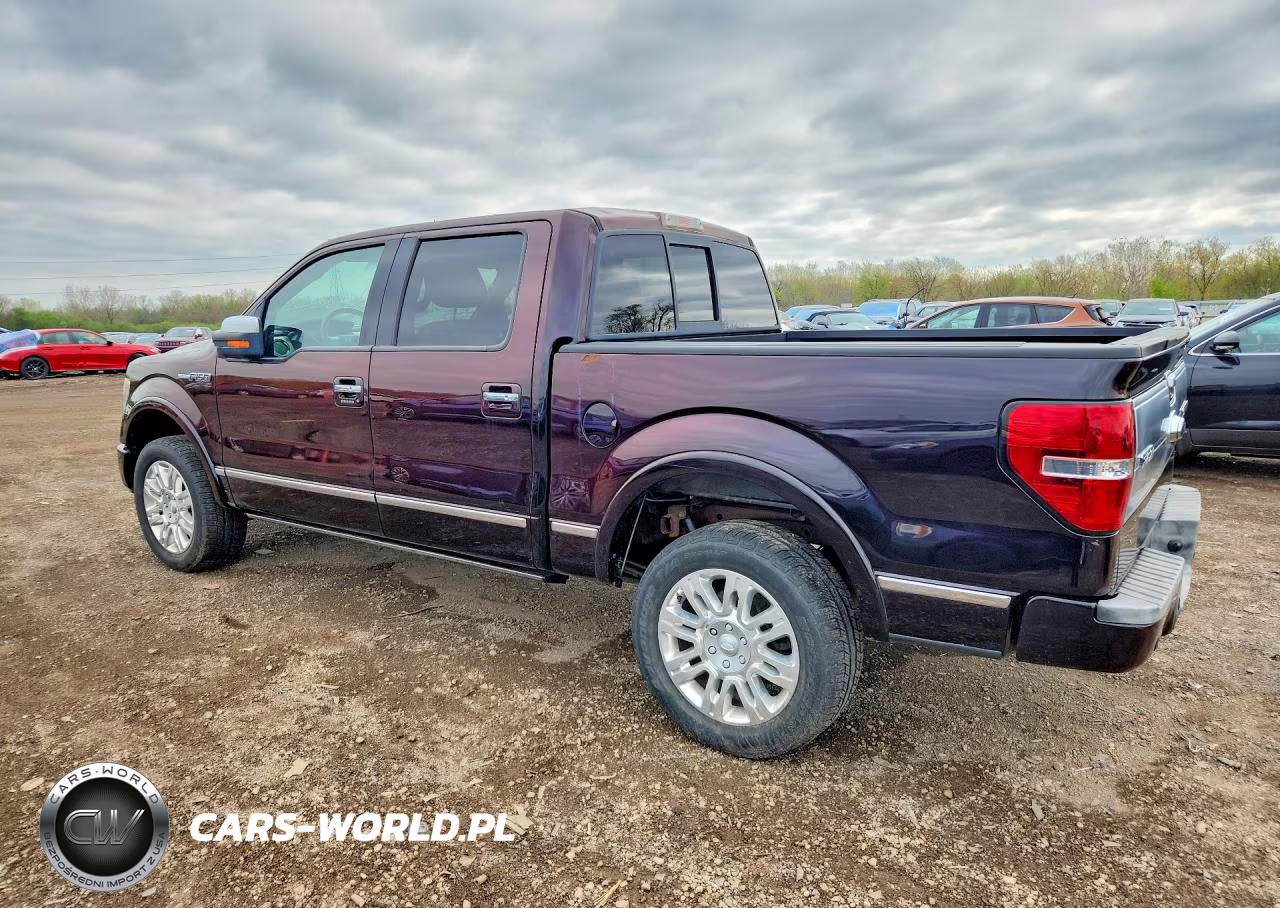 2013 Ford F150 Supercrew VIN:1FTFW1EF6DFC64449 - 2
