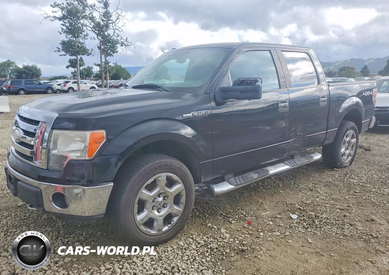 2009 Ford F150 Supercrew – zdjęcie 1 z 12