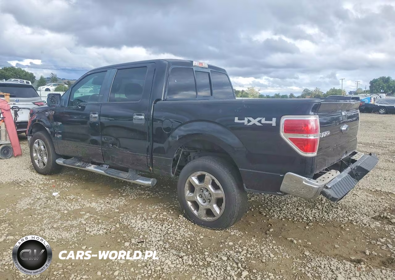 2009 Ford F150 Supercrew VIN:1FTPW14V99FA54237 - 2