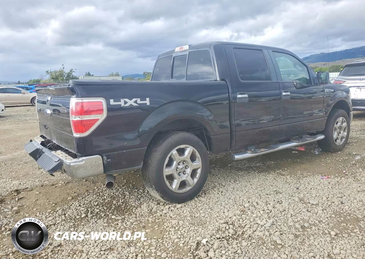 2009 Ford F150 Supercrew VIN:1FTPW14V99FA54237 - 3