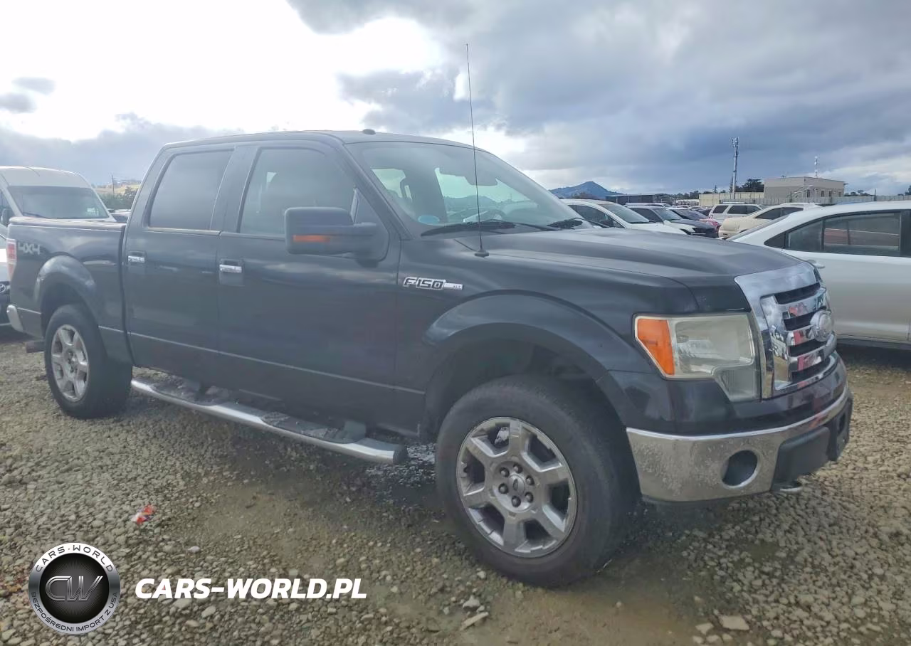 2009 Ford F150 Supercrew VIN:1FTPW14V99FA54237 - 4