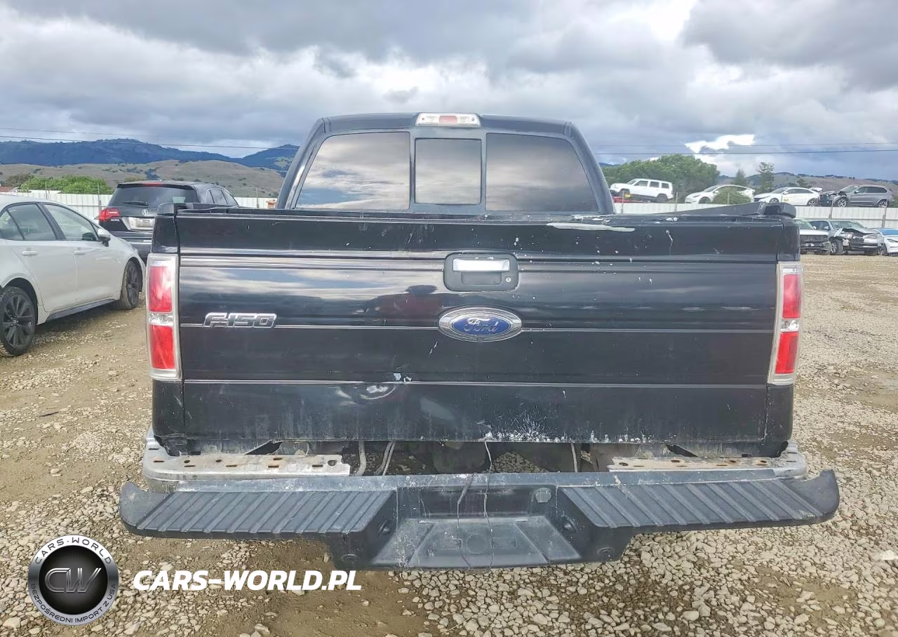 2009 Ford F150 Supercrew VIN:1FTPW14V99FA54237 - 6