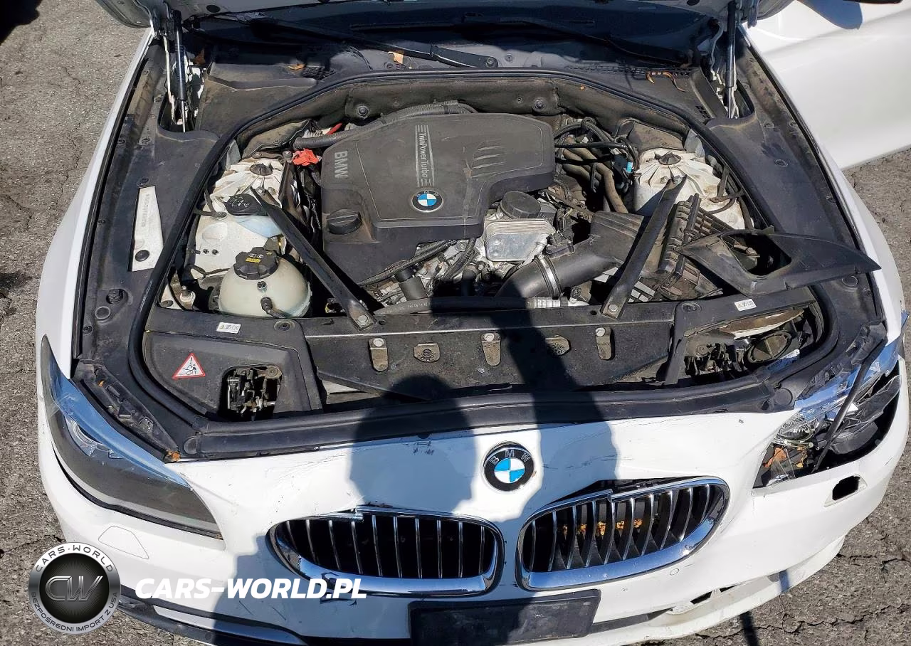 2015 BMW 528 I VIN:WBA5A5C51FD524618 - 11