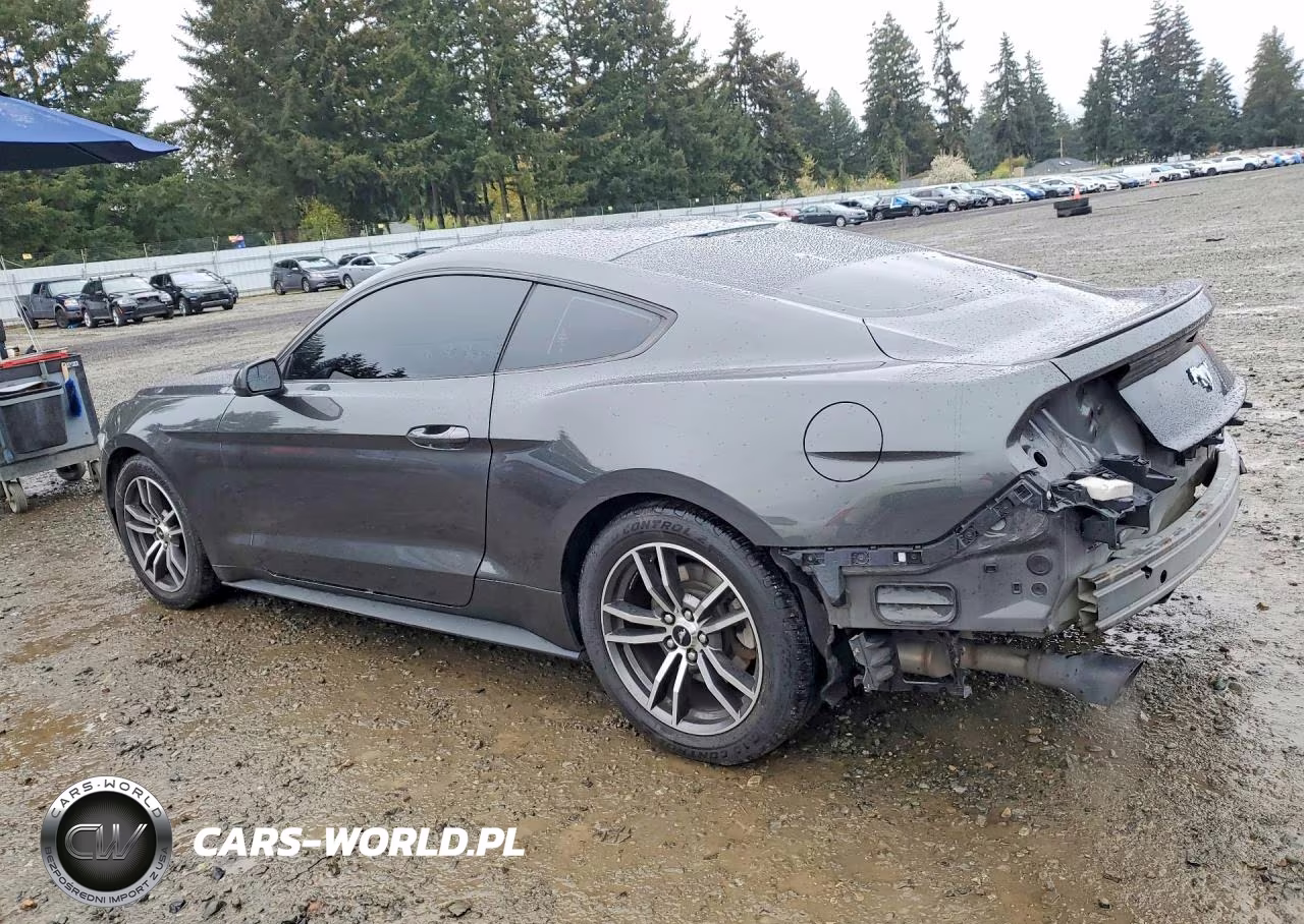 2017 Ford Mustang VIN:1FA6P8TH0H5318968 - 2