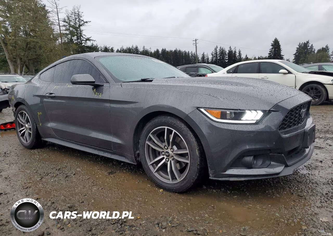 2017 Ford Mustang VIN:1FA6P8TH0H5318968 - 4
