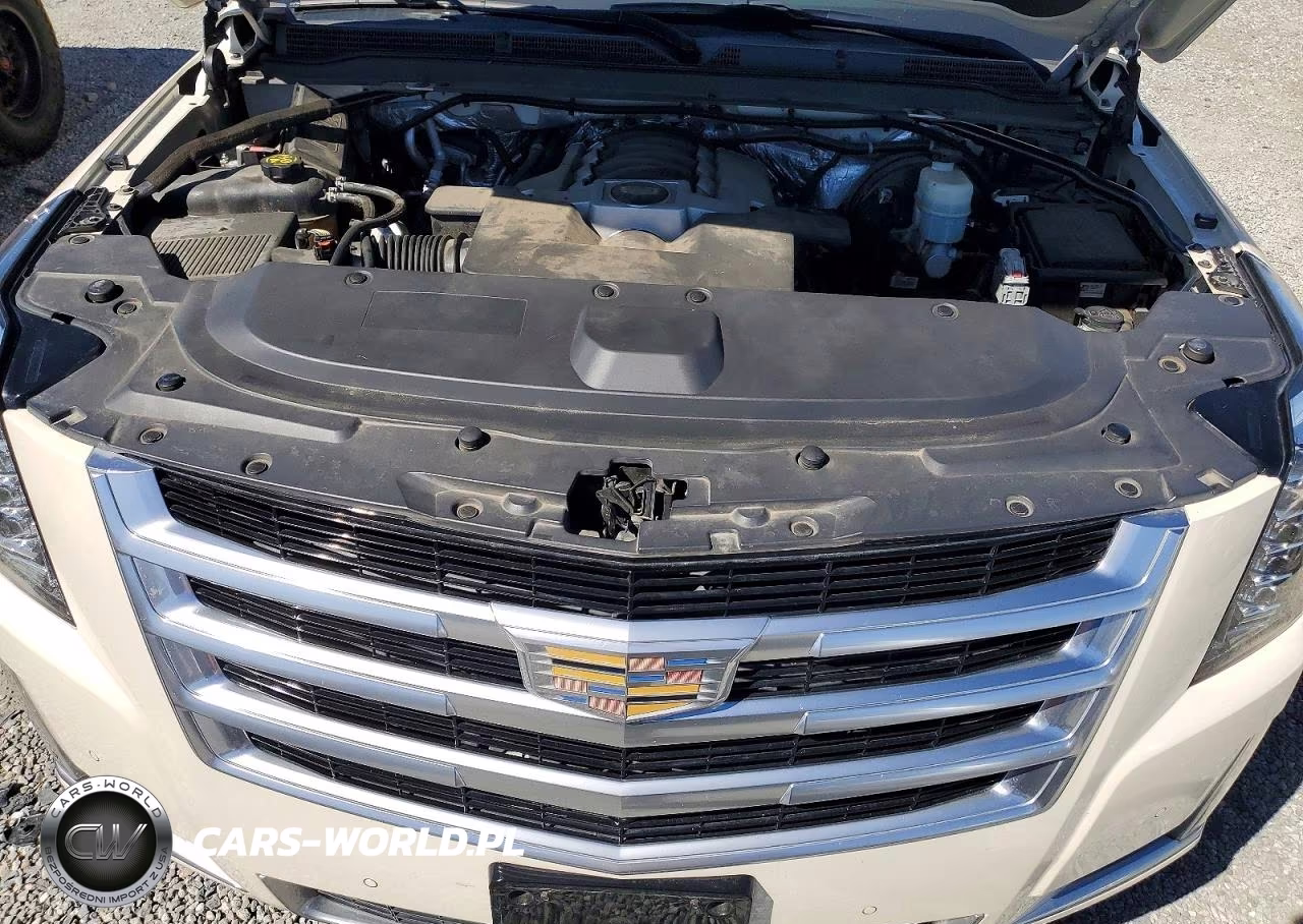 2015 Cadillac Escalade Premium VIN:1GYS3NKJ4FR696315 - 12