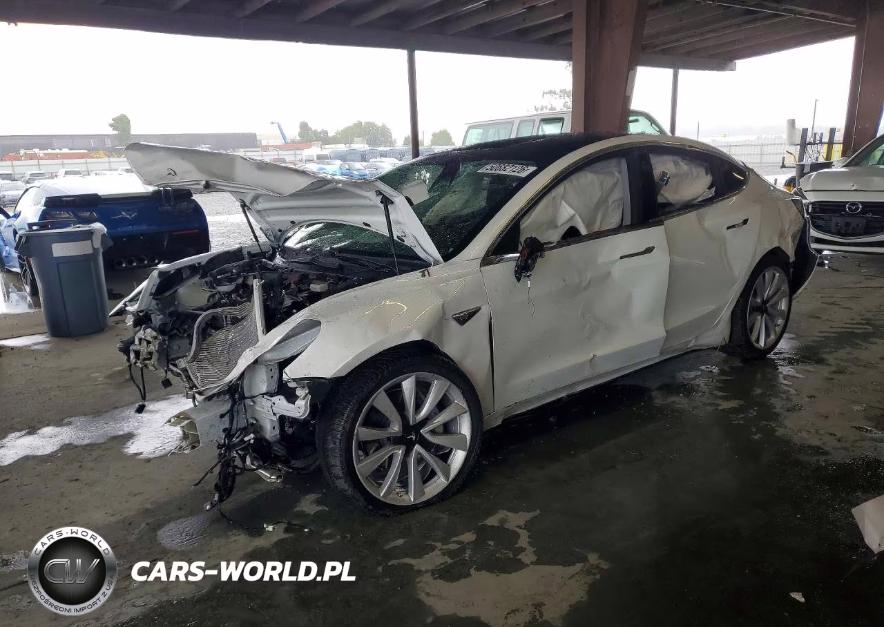 2019 Tesla Model 3