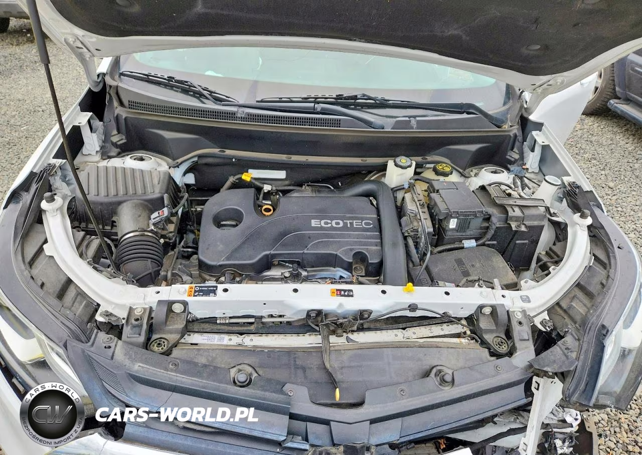 2019 Chevrolet Equinox Lt VIN:2GNAXKEV4K6303459 - 12