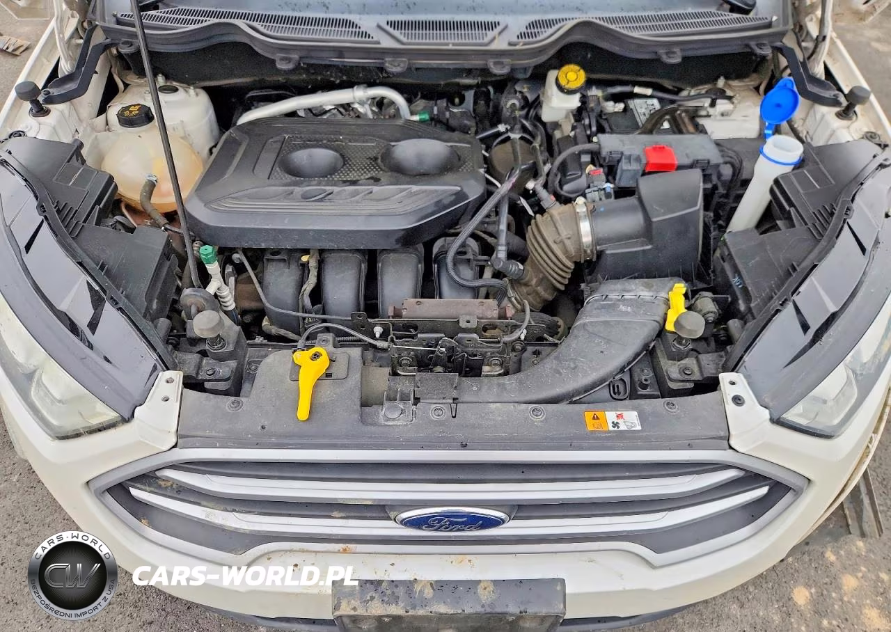 2019 Ford Ecosport Se VIN:MAJ6S3GL7KC257444 - 11