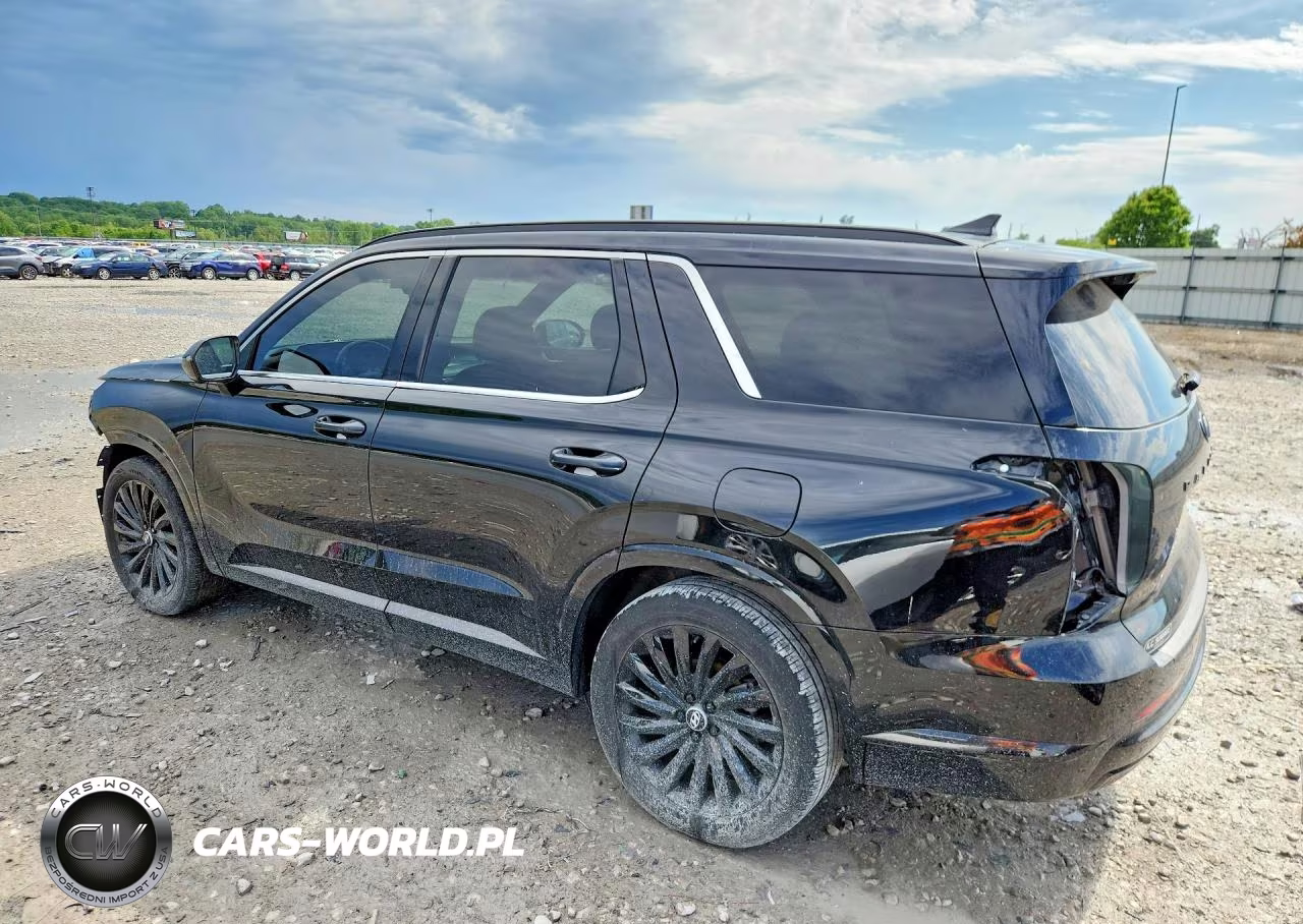 2024 Hyundai Palisade Calligraphy Night Edition VIN:KM8R7DGE0RU686053 - 2