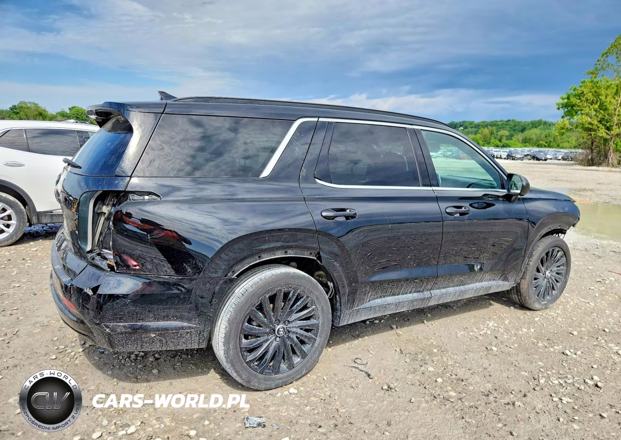 2024 Hyundai Palisade Calligraphy Night Edition VIN:KM8R7DGE0RU686053 - 3