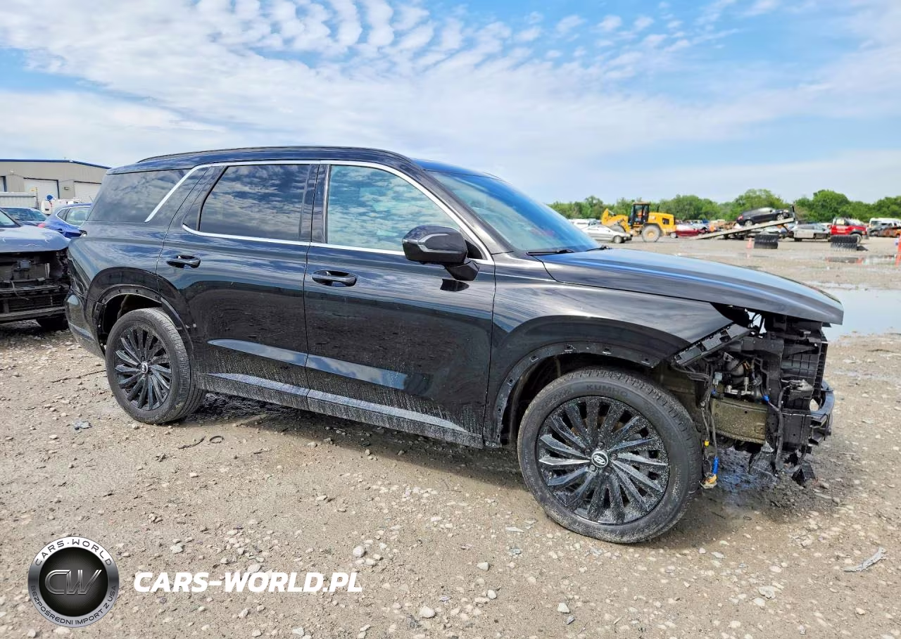 2024 Hyundai Palisade Calligraphy Night Edition VIN:KM8R7DGE0RU686053 - 4