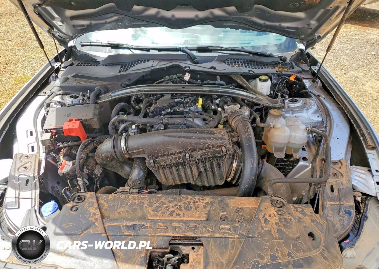 2026 Ford Mustang VIN:1FAGP8UH5T5105543 - 11