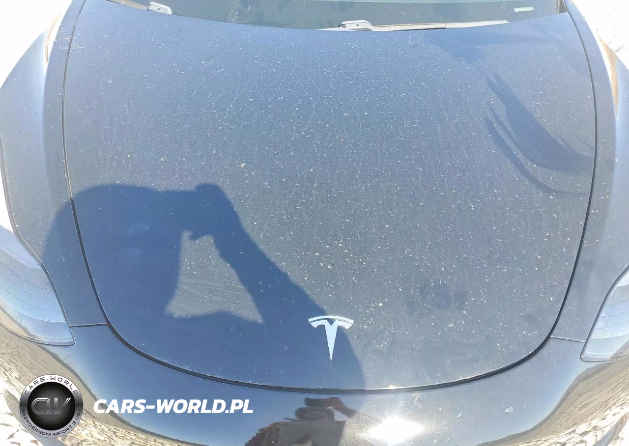 2021 Tesla Model 3 VIN:5YJ3E1EA5MF876429 - 11