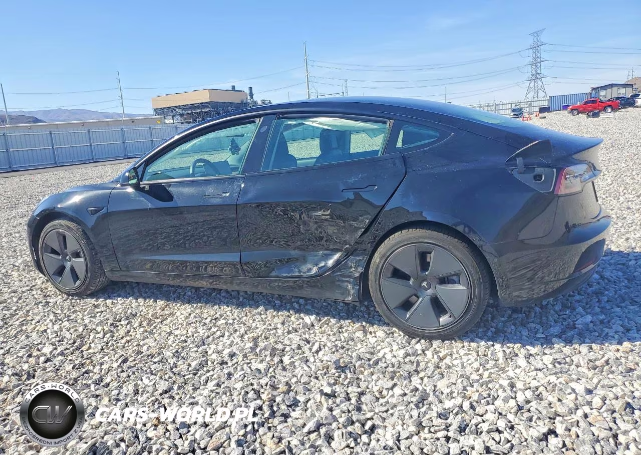 2021 Tesla Model 3 VIN:5YJ3E1EA5MF876429 - 2