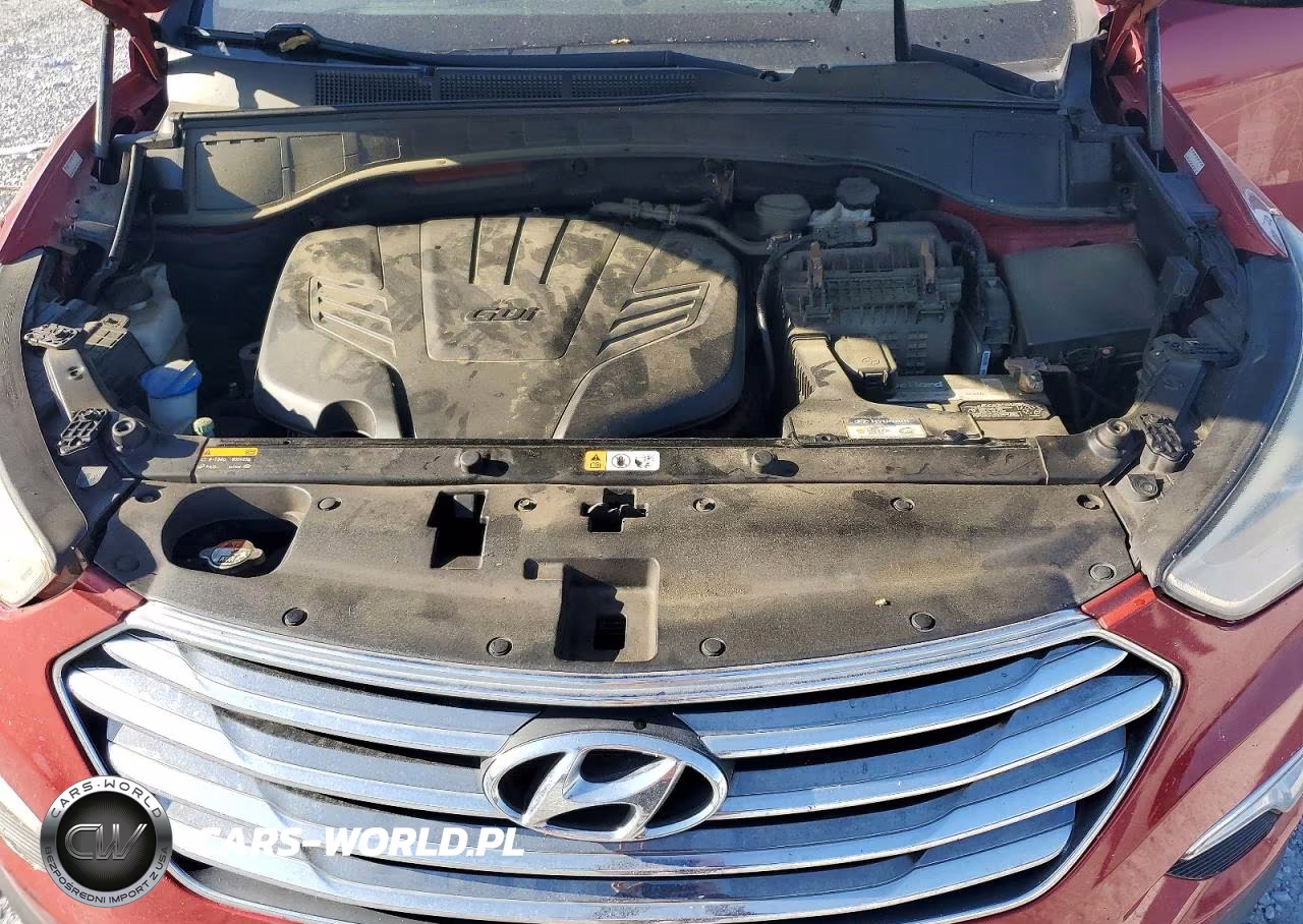 2016 Hyundai Santa Fe Se VIN:KM8SM4HF3GU142998 - 11