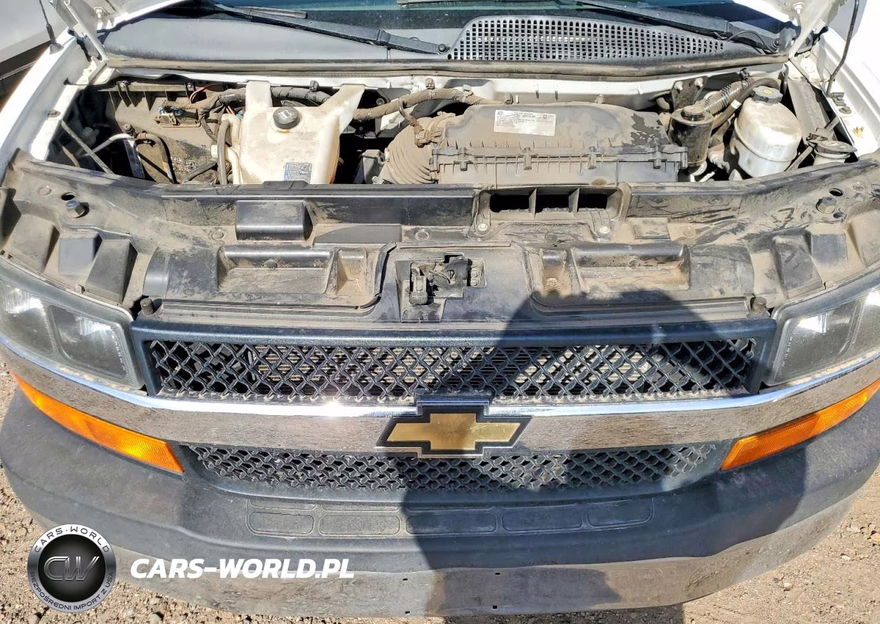 2021 Chevrolet Express G2500 VIN:1GCWGAF79M1312012 - 12