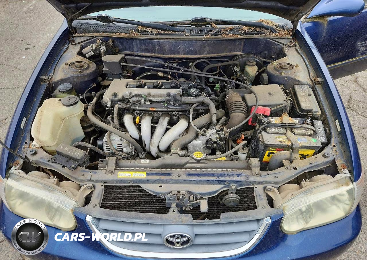 2002 Toyota Corolla Le VIN:1NXBR12E72Z644857 - 11