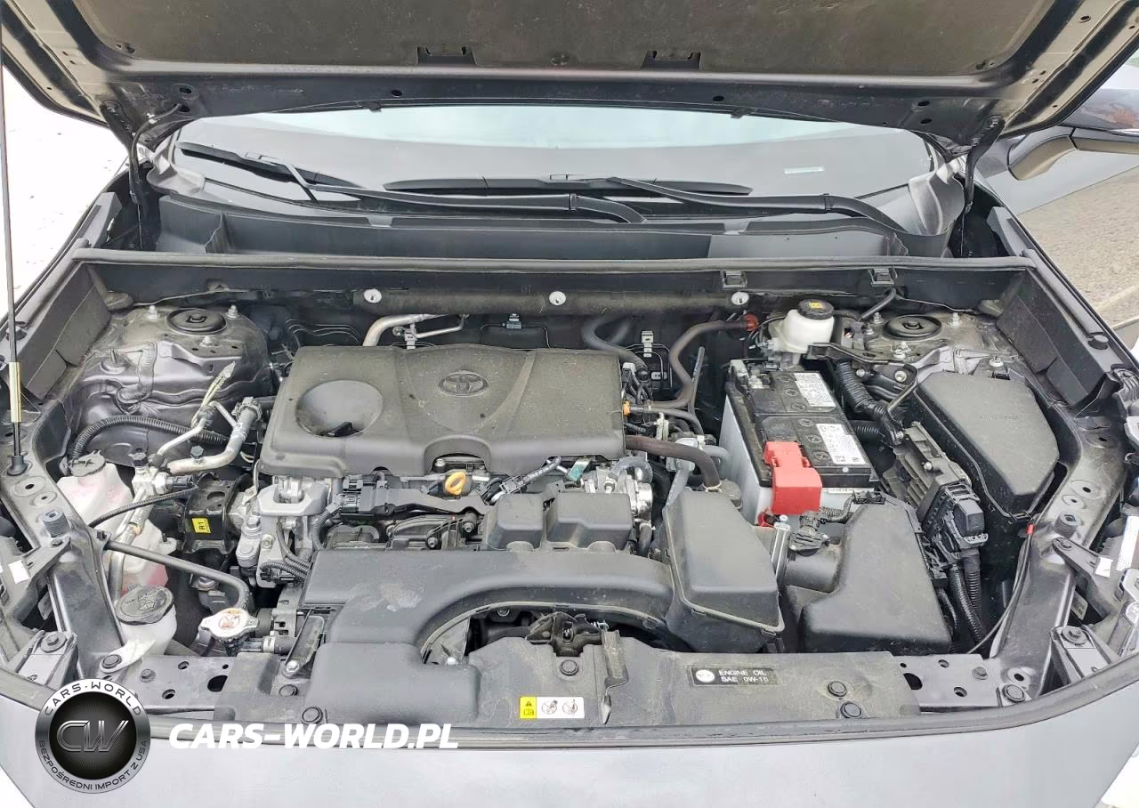 2024 Toyota Rav4 Xle VIN:2T3W1RFV5RC260371 - 12
