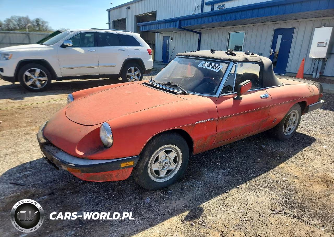 1984 Alfa Romeo Veloce 2000 Spider