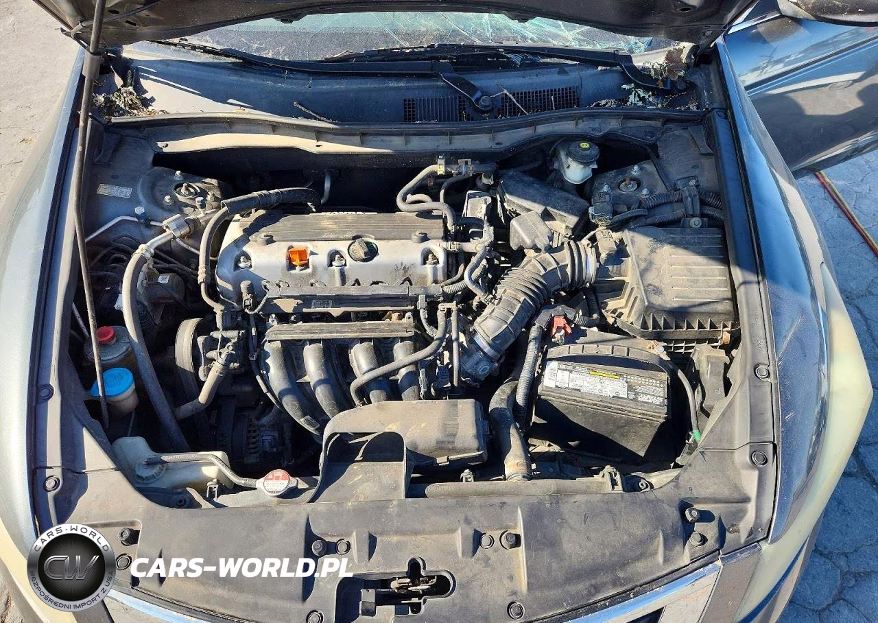 2010 Honda Accord Lxp VIN:1HGCP2F44AA026645 - 11