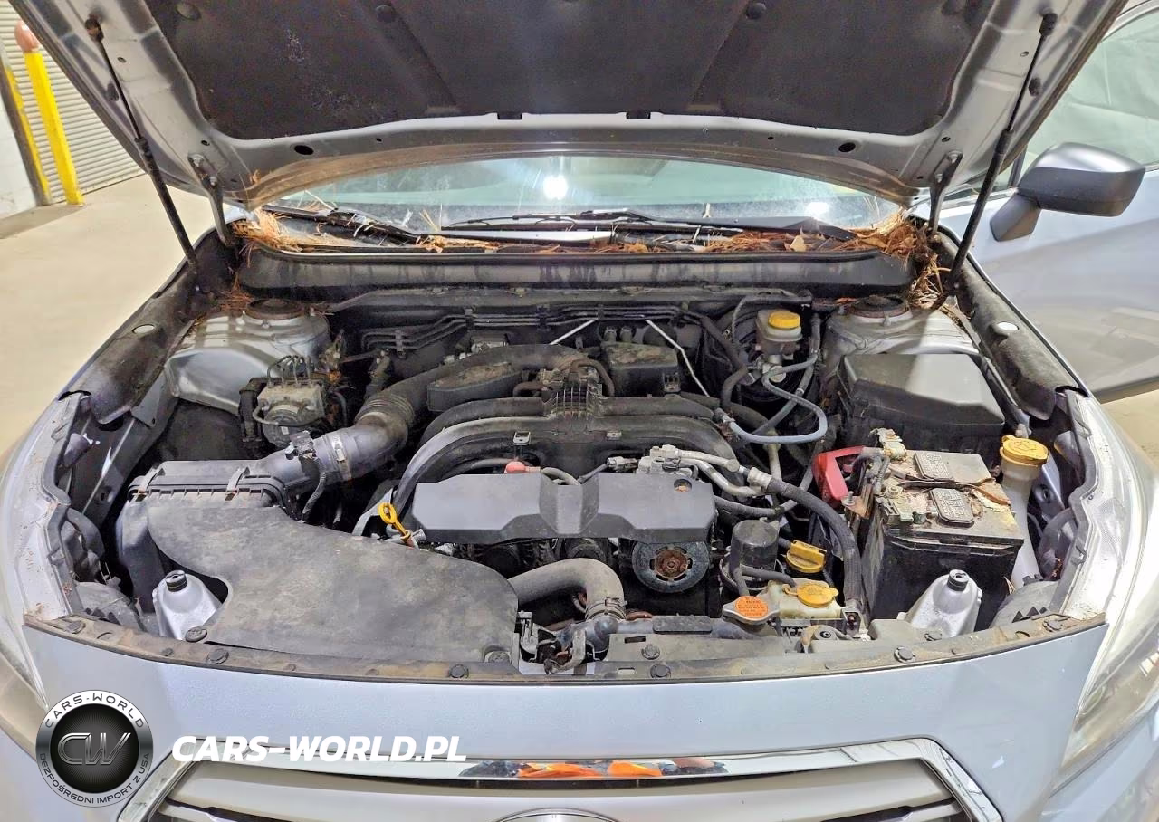2015 Subaru Outback 2.5I VIN:4S4BSAACXF3309656 - 11