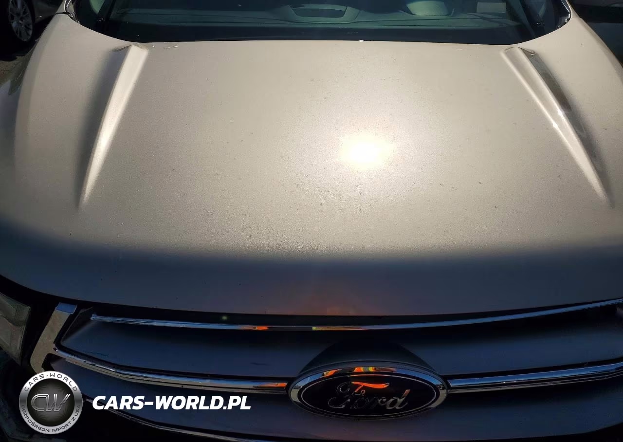 2018 Ford Edge Sel VIN:2FMPK4J99JBC39961 - 12