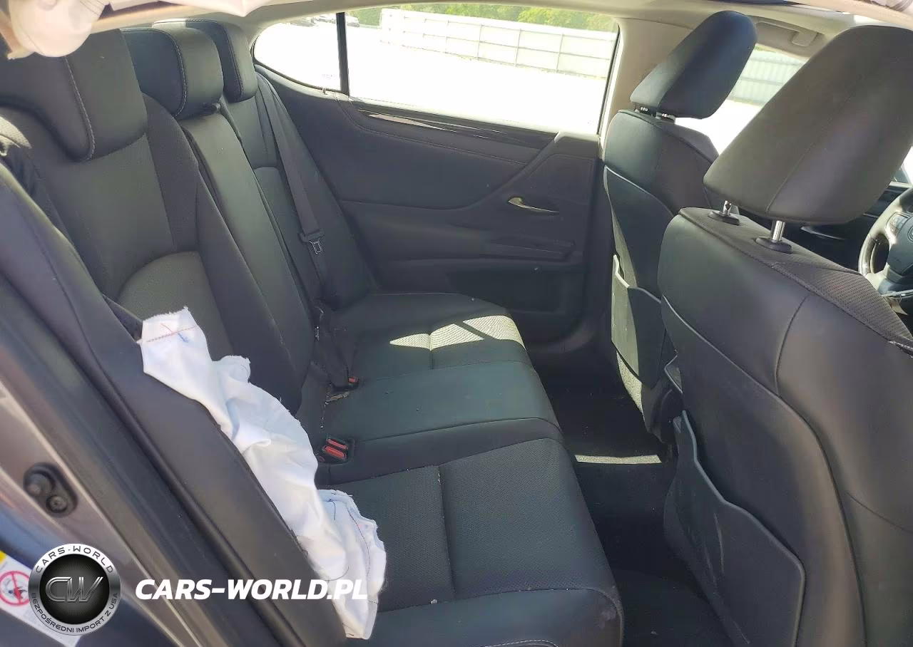 2019 Lexus Es 350 VIN:58ABZ1B10KU027483 - 10