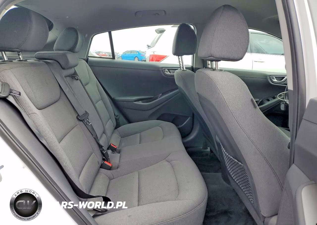 2020 Hyundai Ioniq Electric Se VIN:KMHC75LJ1LU061764 - 10