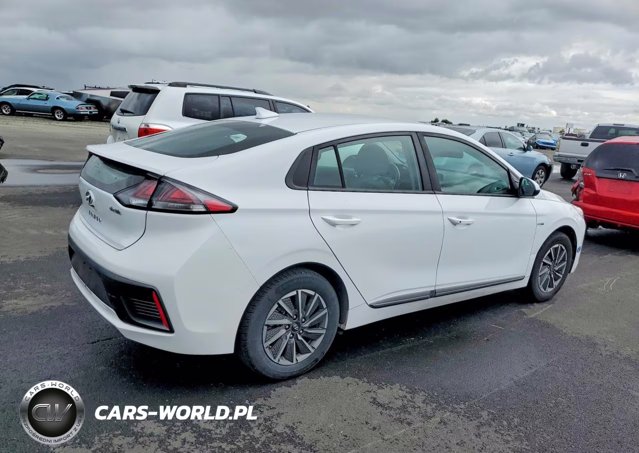 2020 Hyundai Ioniq Electric Se VIN:KMHC75LJ1LU061764 - 3