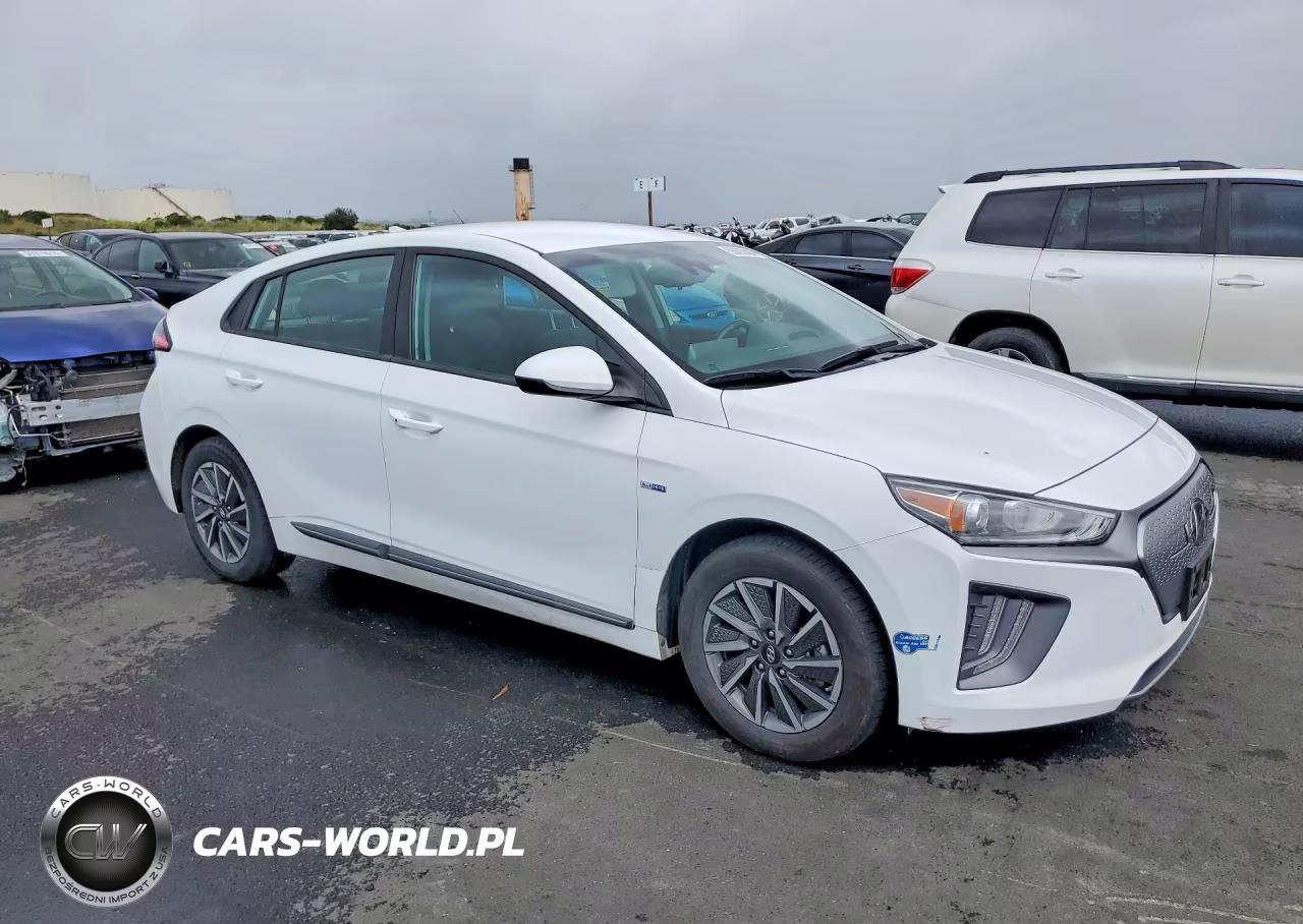 2020 Hyundai Ioniq Electric Se VIN:KMHC75LJ1LU061764 - 4