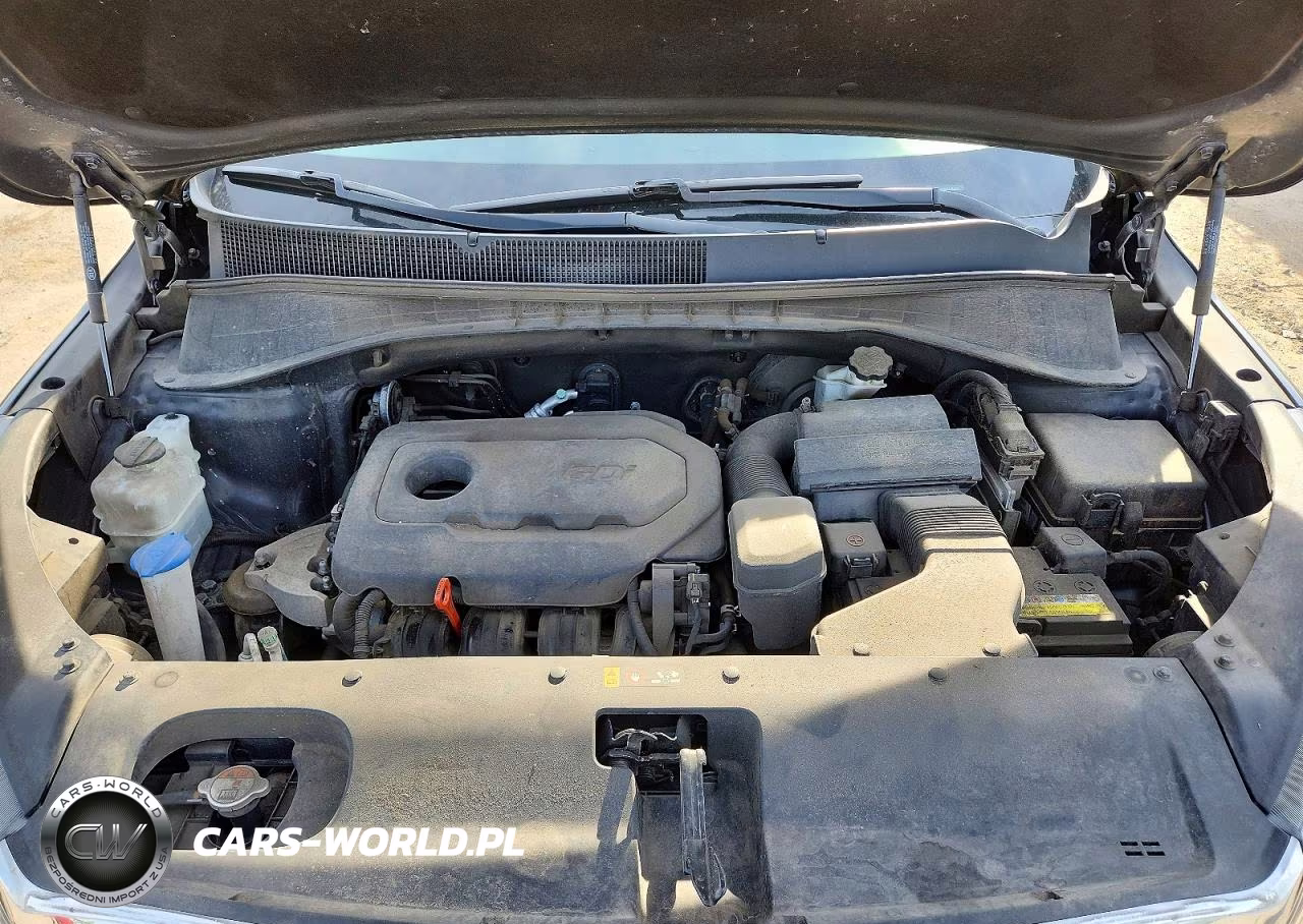 2017 Kia Sorento Lx VIN:5XYPGDA30HG259880 - 12