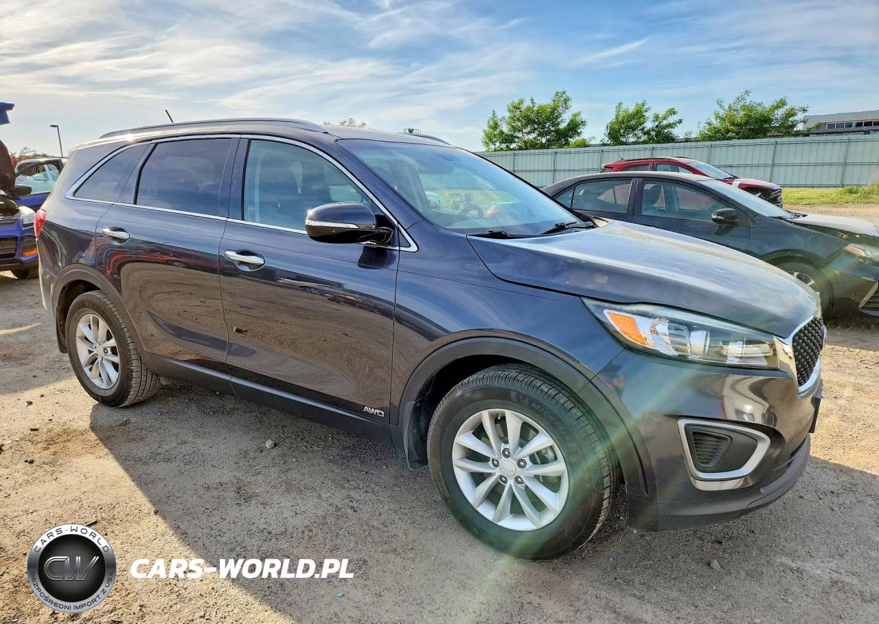2017 Kia Sorento Lx VIN:5XYPGDA30HG259880 - 4