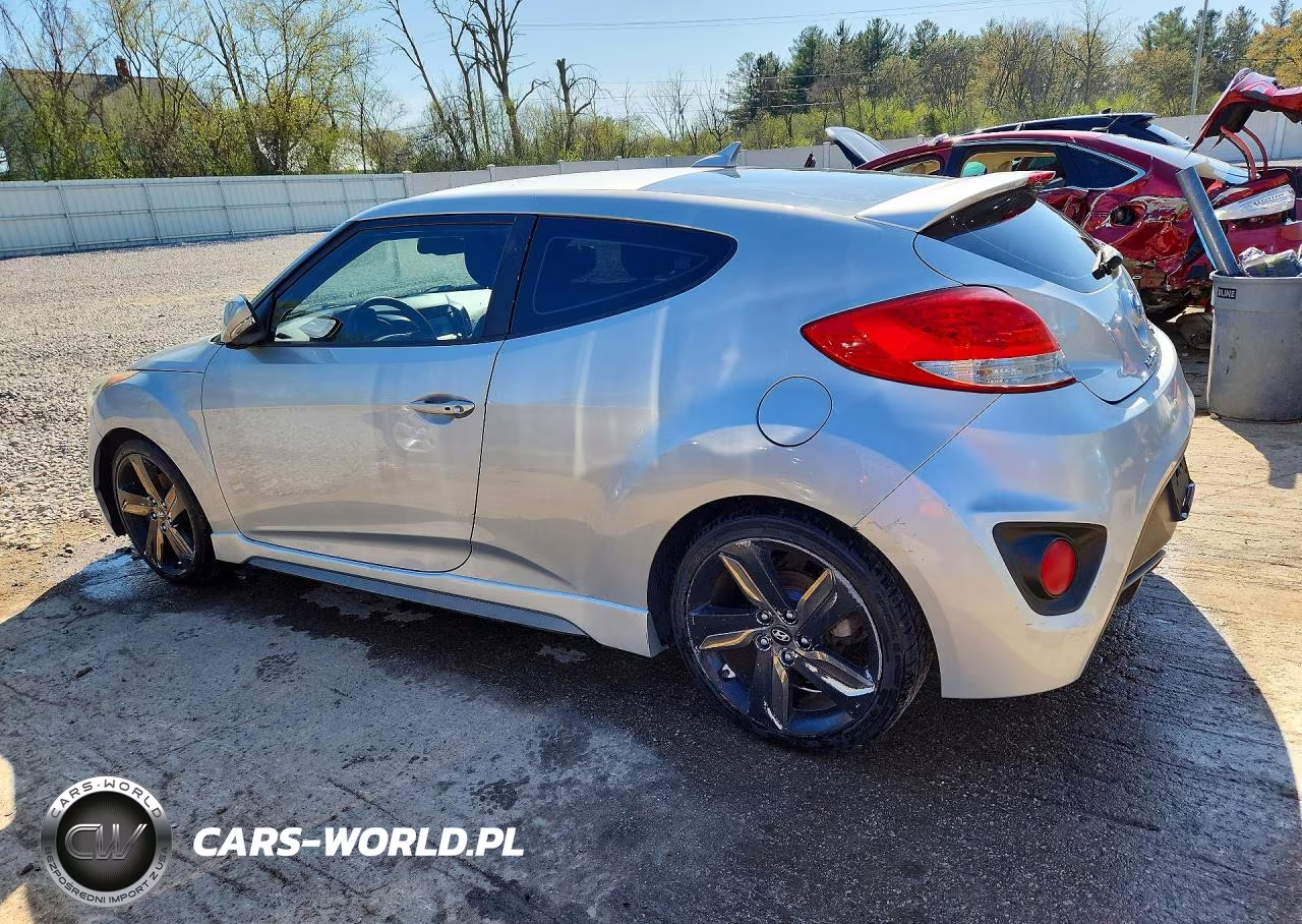 2013 Hyundai Veloster Turbo VIN:KMHTC6AE4DU144503 - 2