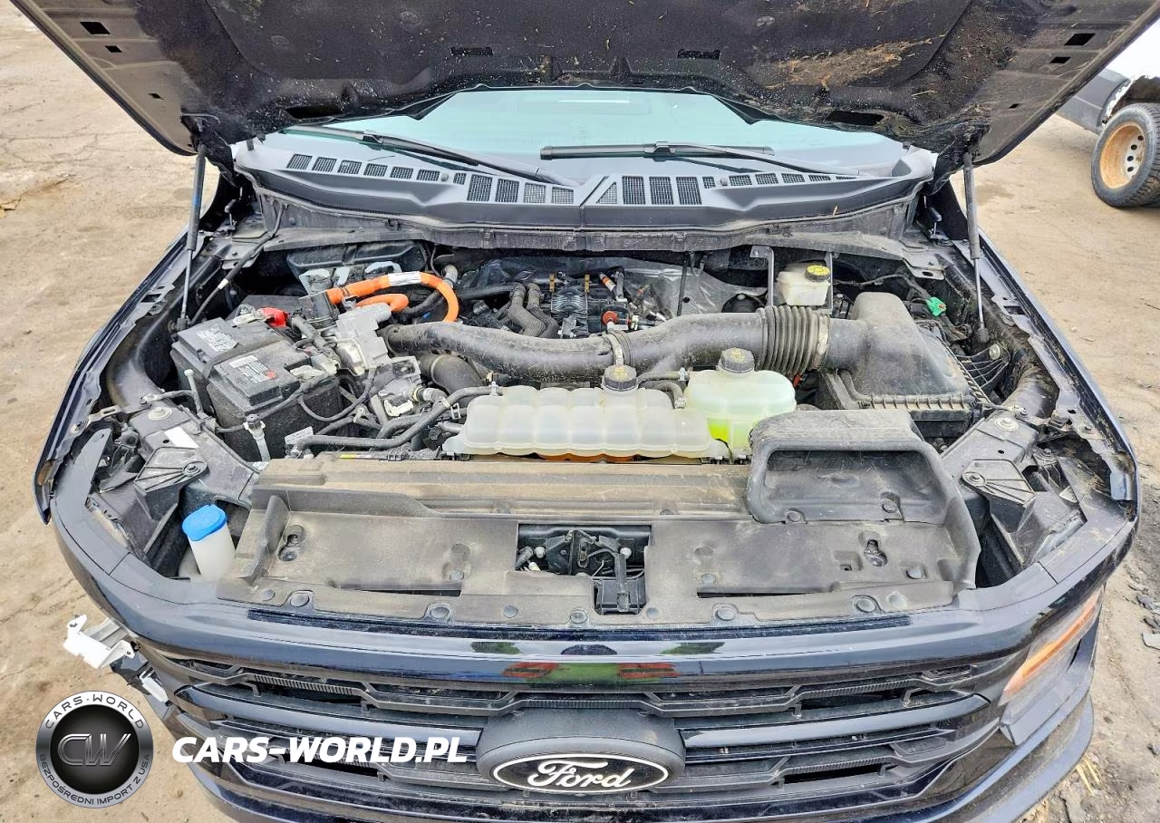 2024 Ford F150 Xlt VIN:1FTFW3LD8RFA78674 - 11
